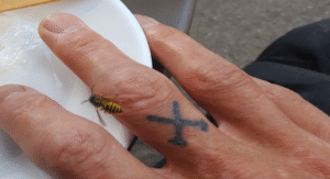 Screen Shot 2023-10-31 at 13.58.03