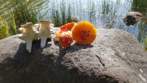 photo_2021-08-31_18-27-28 2